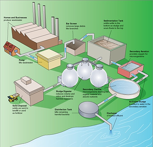 Steps in a typical wastewater treatment process